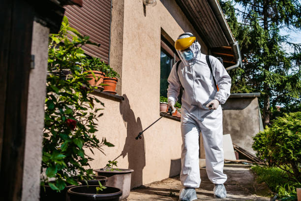 Best Pest Removal Services  in Bellemont, AZ