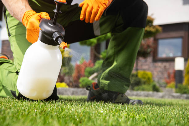 Best Local Pest Control Services  in Bellemont, AZ