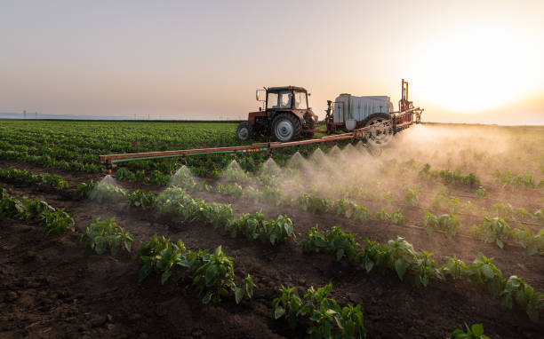 Best Best Pest Control Companies  in Bellemont, AZ