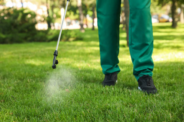 Wildlife Control Services in Bellemont, AZ
